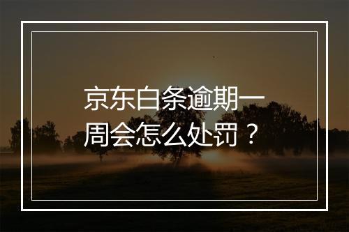 京东白条逾期一周会怎么处罚？