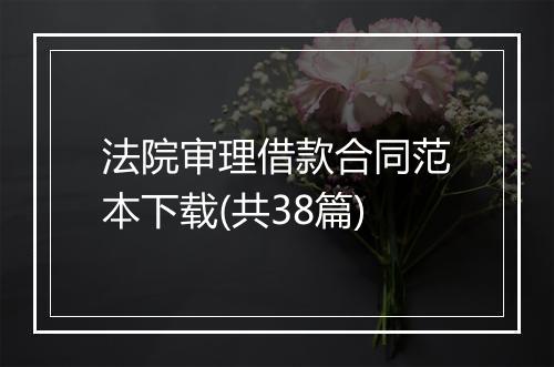 法院审理借款合同范本下载(共38篇)