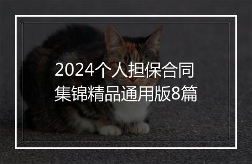 2024个人担保合同集锦精品通用版8篇