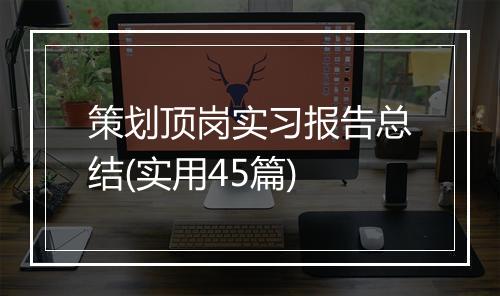 策划顶岗实习报告总结(实用45篇)
