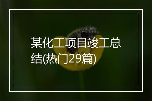 某化工项目竣工总结(热门29篇)