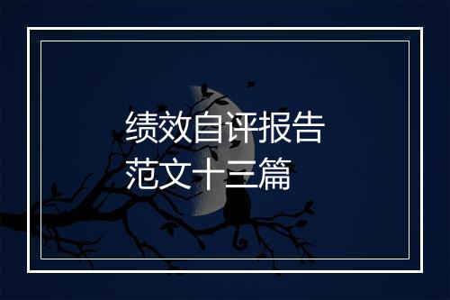 绩效自评报告范文十三篇