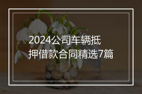 2024公司车辆抵押借款合同精选7篇