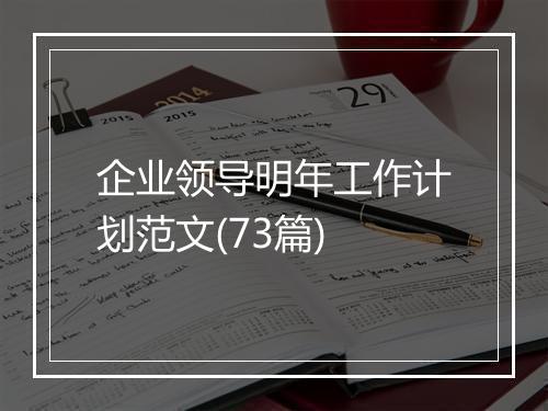 企业领导明年工作计划范文(73篇)