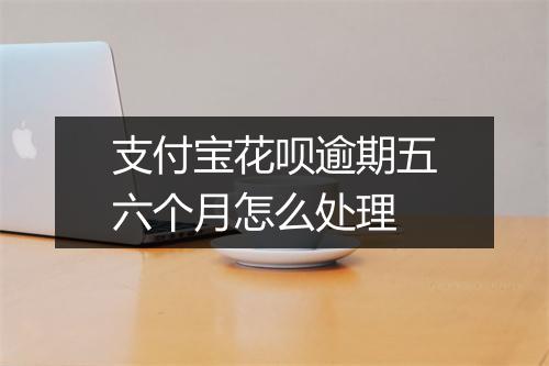 支付宝花呗逾期五六个月怎么处理