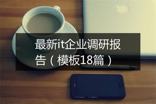 最新it企业调研报告（模板18篇）