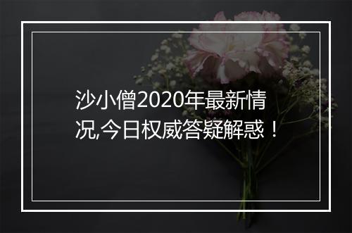 沙小僧2020年最新情况,今日权威答疑解惑！