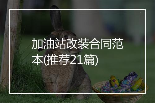 加油站改装合同范本(推荐21篇)
