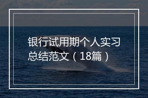 银行试用期个人实习总结范文（18篇）