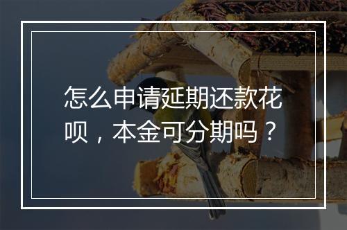 怎么申请延期还款花呗，本金可分期吗？