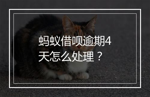 蚂蚁借呗逾期4天怎么处理？