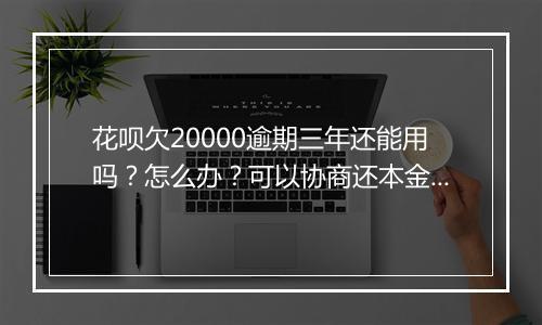 花呗欠20000逾期三年还能用吗？怎么办？可以协商还本金吗？