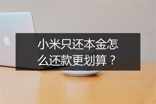 小米只还本金怎么还款更划算？