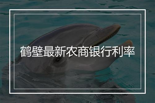 鹤壁最新农商银行利率