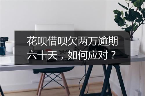 花呗借呗欠两万逾期六十天，如何应对？