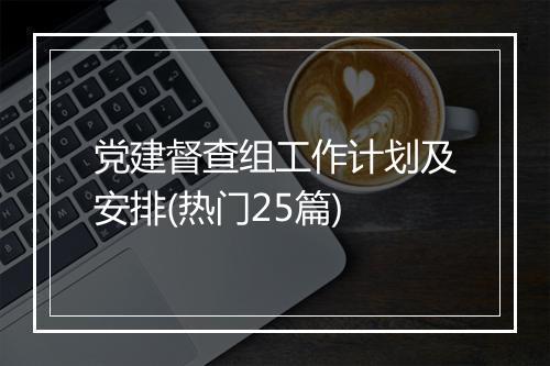 党建督查组工作计划及安排(热门25篇)