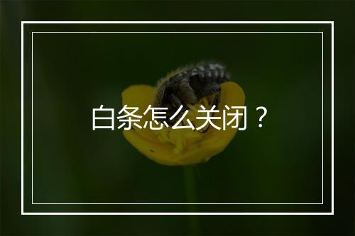白条怎么关闭？