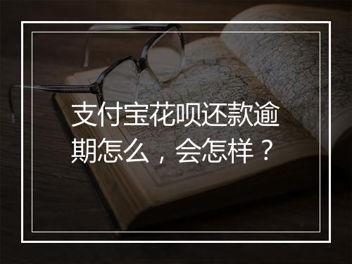 支付宝花呗还款逾期怎么，会怎样？
