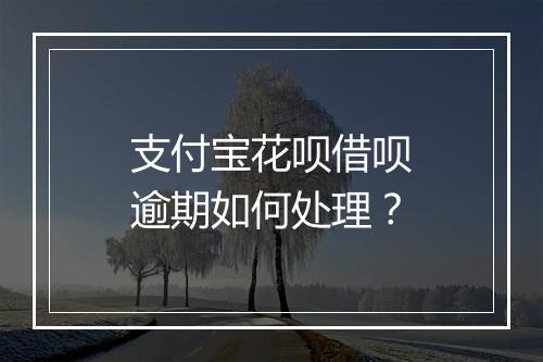 支付宝花呗借呗逾期如何处理？
