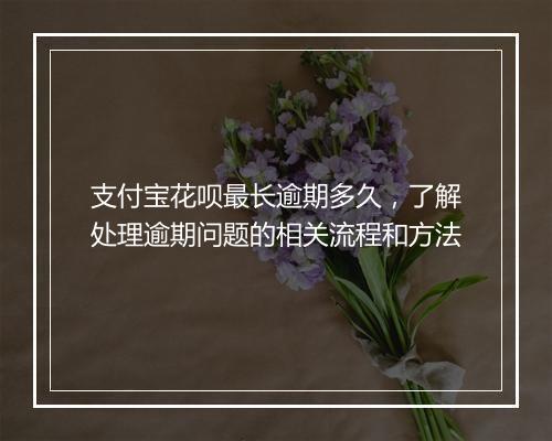 支付宝花呗最长逾期多久，了解处理逾期问题的相关流程和方法