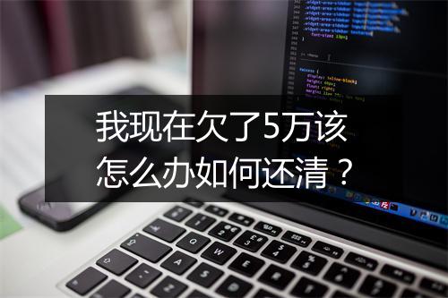 我现在欠了5万该怎么办如何还清？