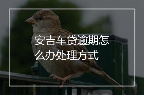 安吉车贷逾期怎么办处理方式