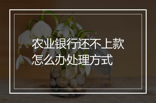 农业银行还不上款怎么办处理方式