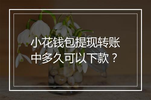 小花钱包提现转账中多久可以下款？