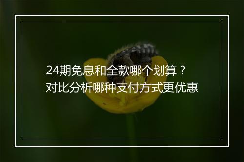 24期免息和全款哪个划算？对比分析哪种支付方式更优惠