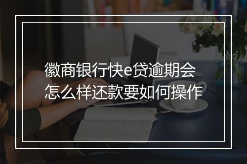 徽商银行快e贷逾期会怎么样还款要如何操作