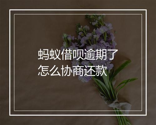 蚂蚁借呗逾期了怎么协商还款