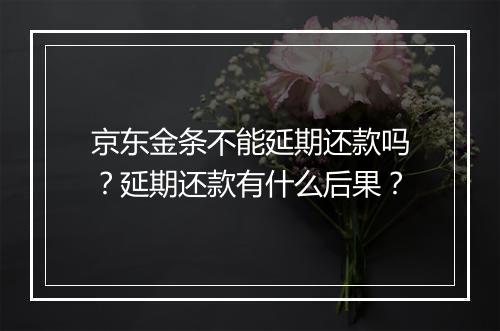 京东金条不能延期还款吗？延期还款有什么后果？