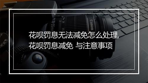 花呗罚息无法减免怎么处理,花呗罚息减免 与注意事项