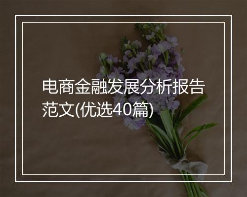 电商金融发展分析报告范文(优选40篇)