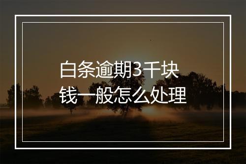 白条逾期3千块钱一般怎么处理