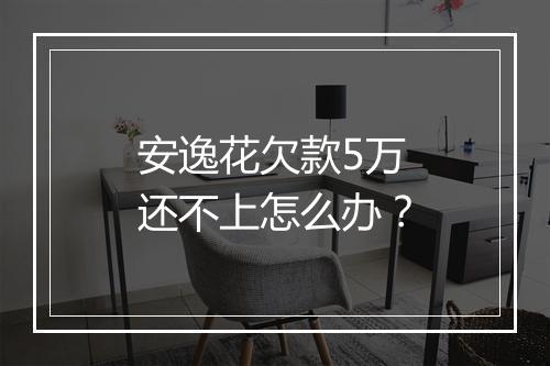 安逸花欠款5万还不上怎么办？