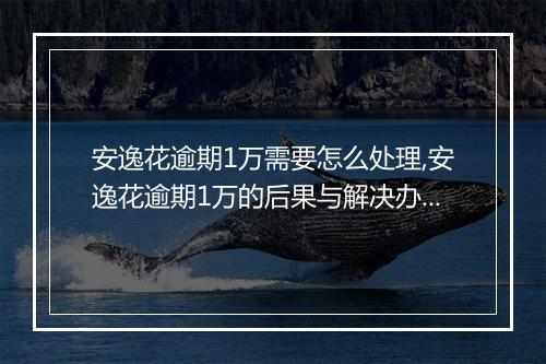 安逸花逾期1万需要怎么处理,安逸花逾期1万的后果与解决办法
