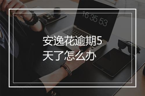 安逸花逾期5天了怎么办