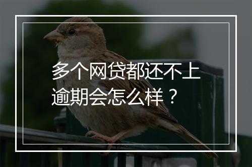 多个网贷都还不上逾期会怎么样？