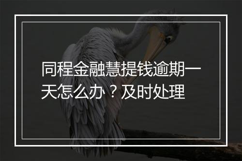 同程金融慧提钱逾期一天怎么办？及时处理
