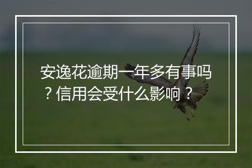 安逸花逾期一年多有事吗？信用会受什么影响？