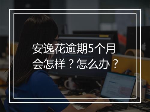 安逸花逾期5个月会怎样？怎么办？