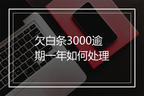 欠白条3000逾期一年如何处理