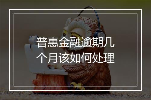 普惠金融逾期几个月该如何处理