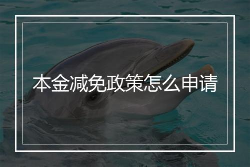 本金减免政策怎么申请