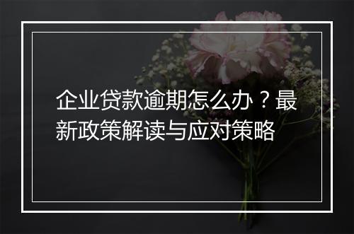 企业贷款逾期怎么办？最新政策解读与应对策略