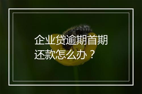 企业贷逾期首期还款怎么办？