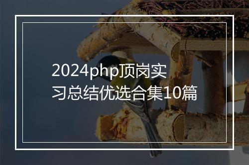 2024php顶岗实习总结优选合集10篇