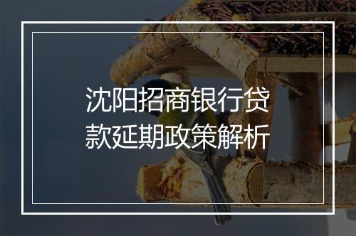沈阳招商银行贷款延期政策解析