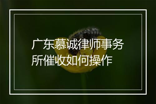 广东慕诚律师事务所催收如何操作